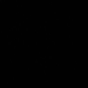 Meet your Posher, Ryenne